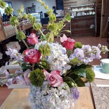 Desktop Gallery Entry 2