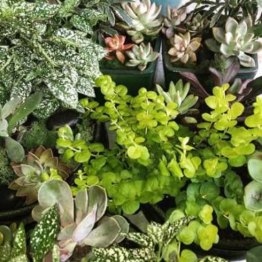 Desktop Gallery Entry 6