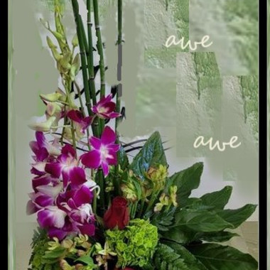 Desktop Gallery Entry 3