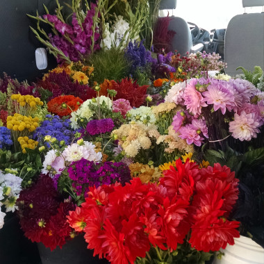 Desktop Gallery Entry 0