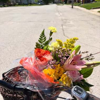 Desktop Gallery Entry 7