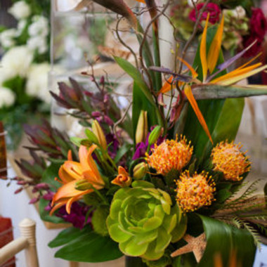 Desktop Gallery Entry 14