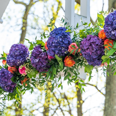 Desktop Gallery Entry 2