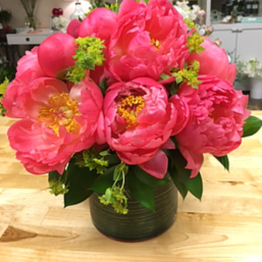 Desktop Gallery Entry 14