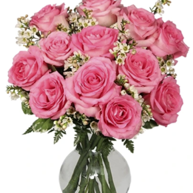 Desktop Gallery Entry 6