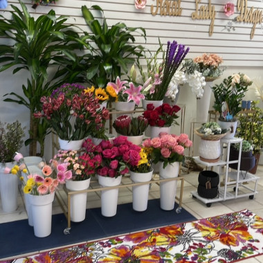 Desktop Gallery Entry 18