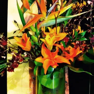 Desktop Gallery Entry 0