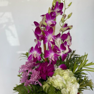 Desktop Gallery Entry 11