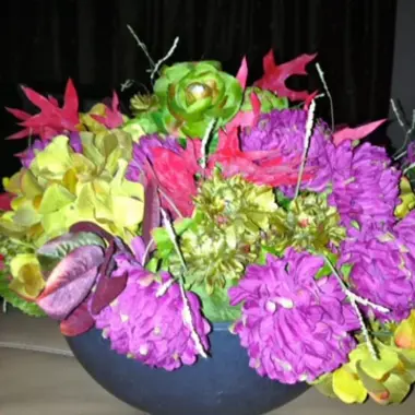 Desktop Gallery Entry 3