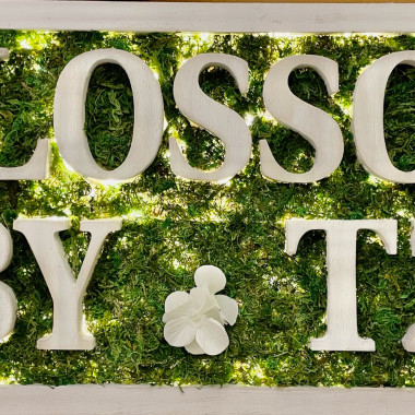 Desktop Gallery Entry 2