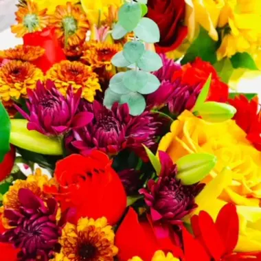 Desktop Gallery Entry 1