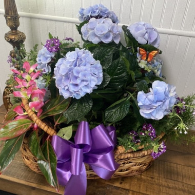 Desktop Gallery Entry 14