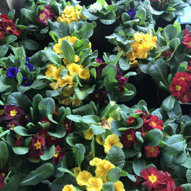 Desktop Gallery Entry 10