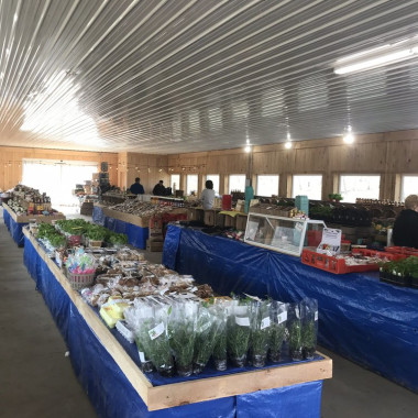 Desktop Gallery Entry 8