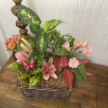 Desktop Gallery Entry 13