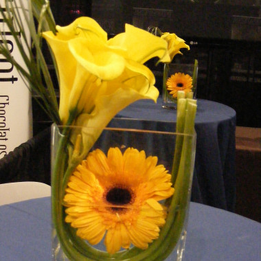 Desktop Gallery Entry 3