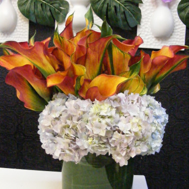 Desktop Gallery Entry 5