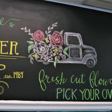 Desktop Gallery Entry 0