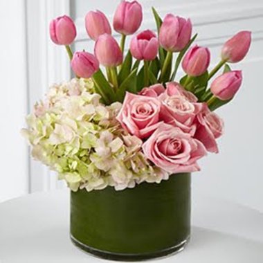 Desktop Gallery Entry 1