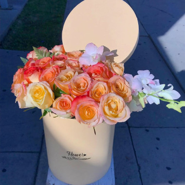 Desktop Gallery Entry 2