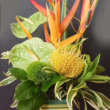 Desktop Gallery Entry 7