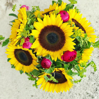 Desktop Gallery Entry 4