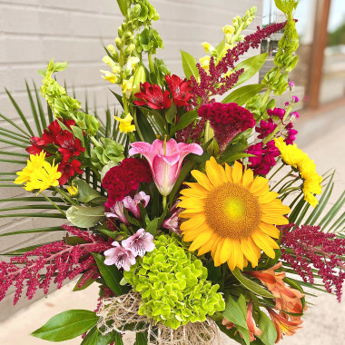 Desktop Gallery Entry 7