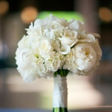 Desktop Gallery Entry 8