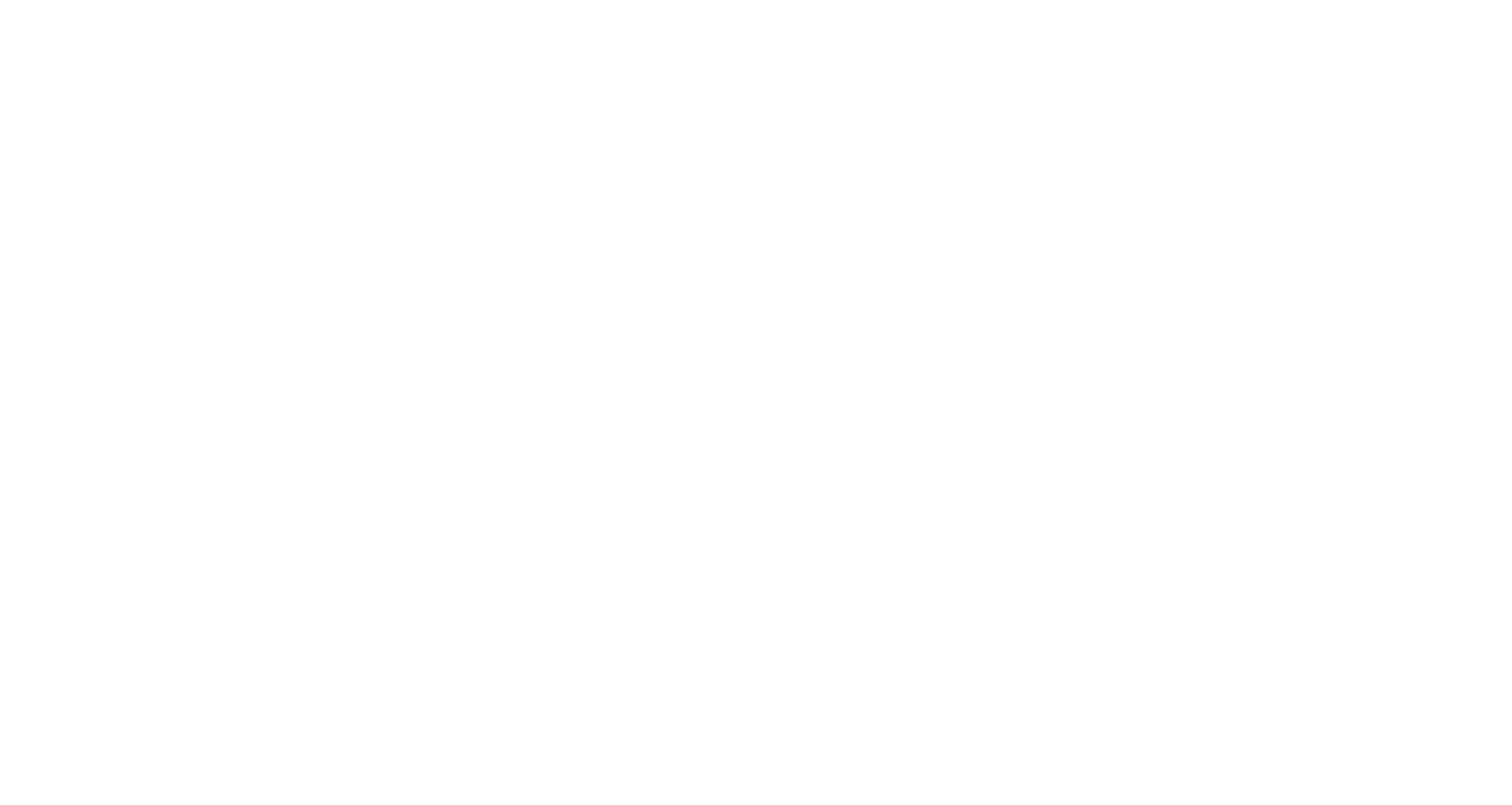 Slängen - Your Everyday Essential. logo