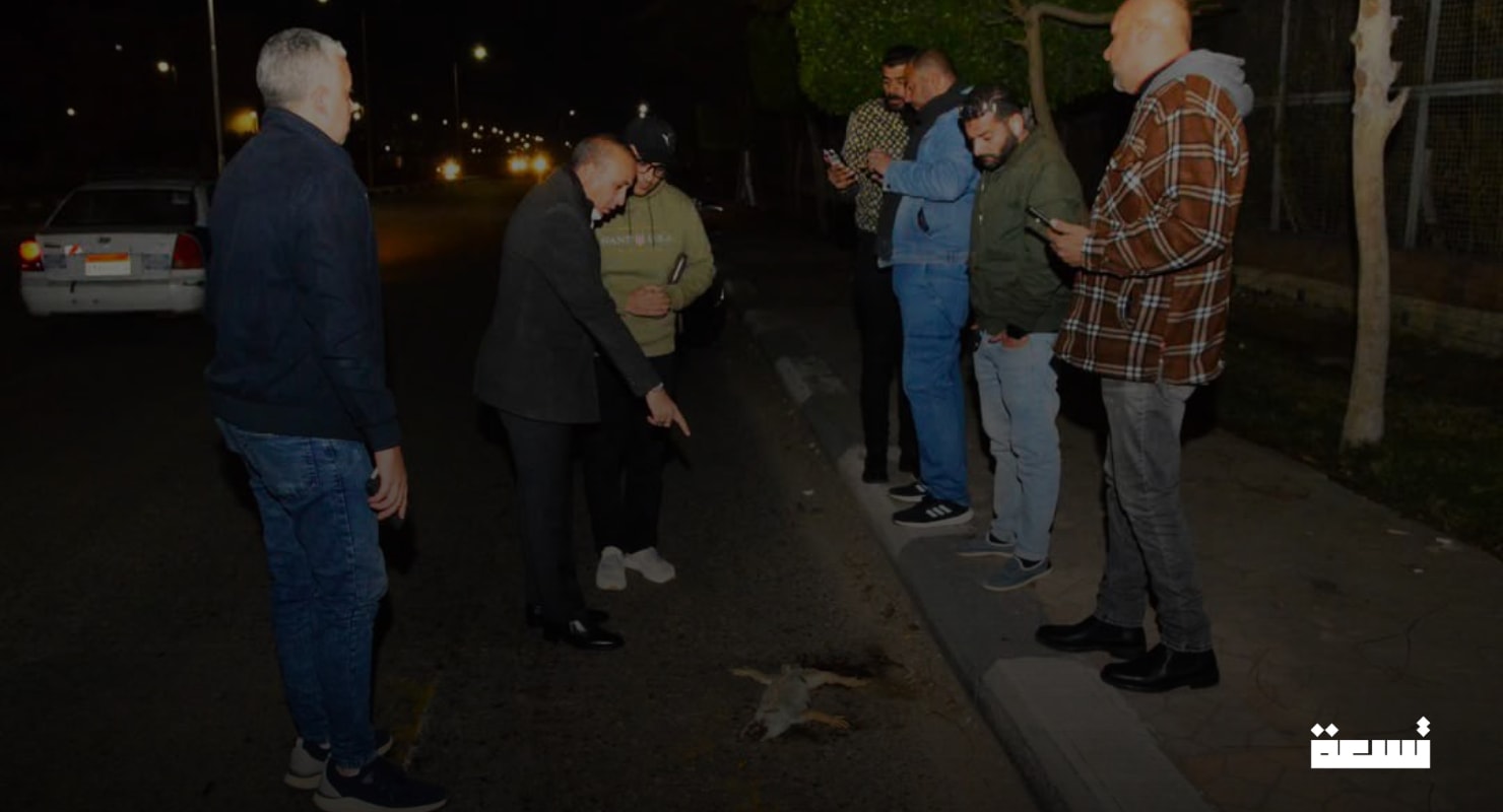 حیوان مرموز در خیابان‌های پورت‌سعید .. ظهور ناگهانی که وحشت و سوالات را به همراه دارد!
