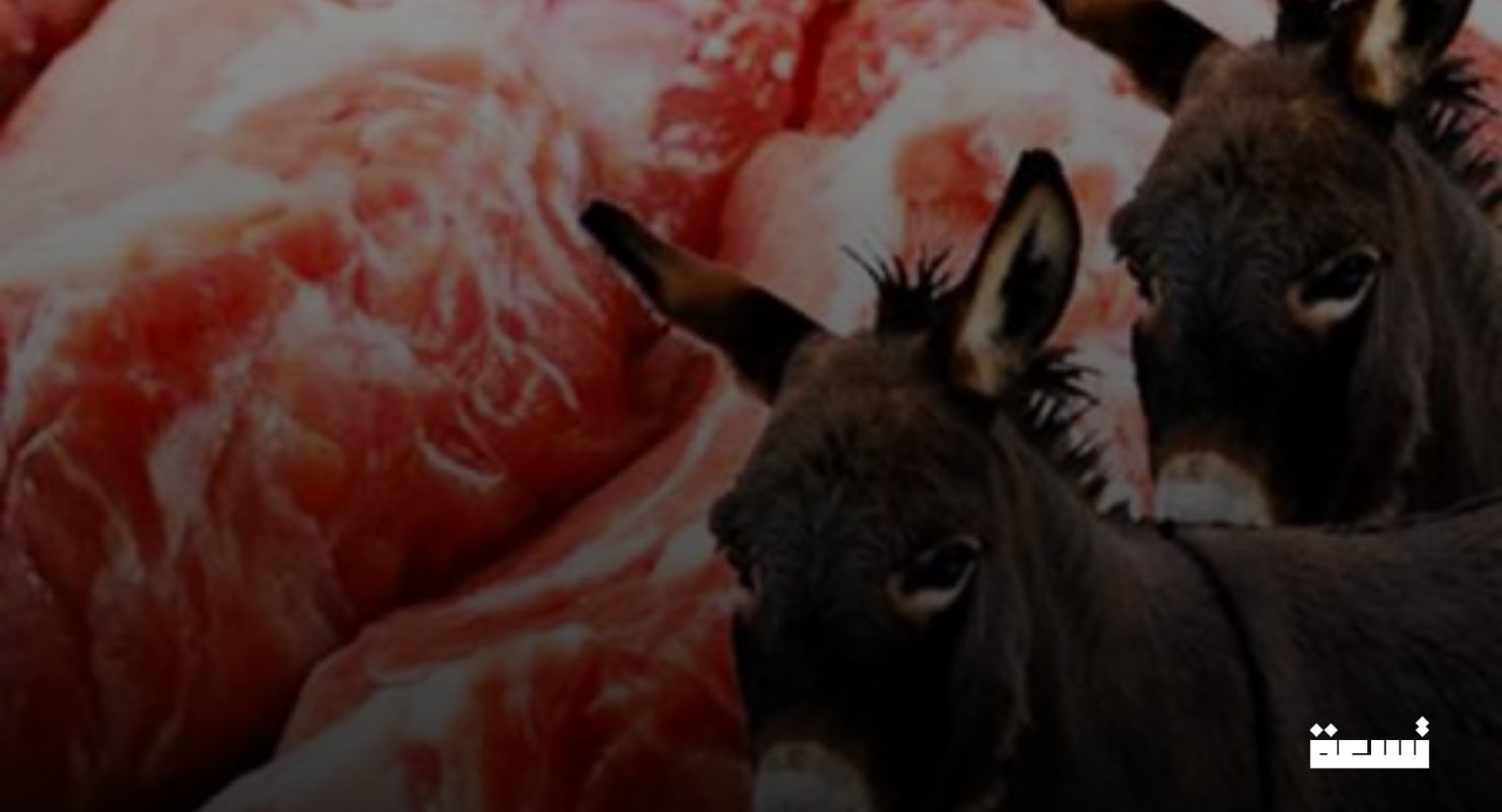 Scandale en Algérie : De la viande d'âne servie pendant le Ramadan !