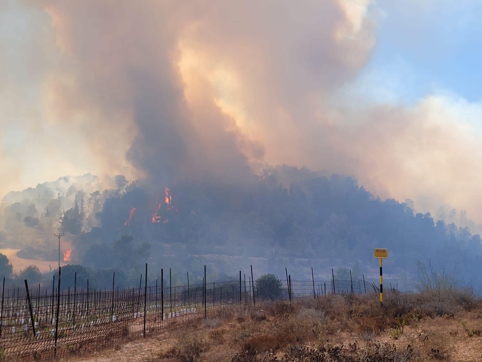 Incendios cerca de Jerusalén obligan a Netanyahu a solicitar ayuda a Grecia.