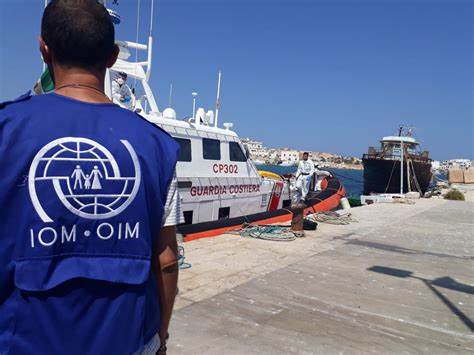 Uluslararası Göç Örgütü, Suriye'nin iyileşmesine ve Suriyelilerin ülkelerine dönüşüne yardımcı olmak için uluslararası destek toplanmasını çağırıyor.