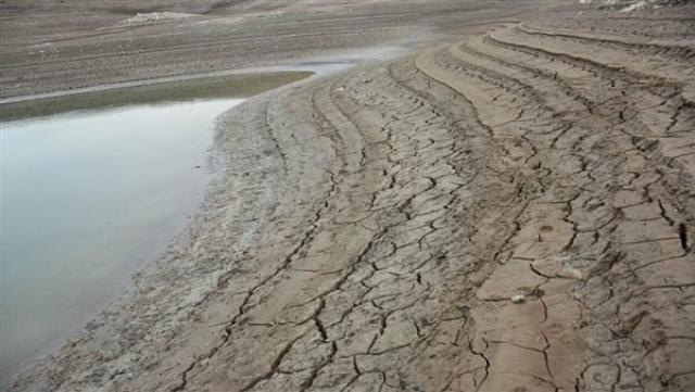 "FAO warns of a catastrophic food crisis in Syria due to drought."