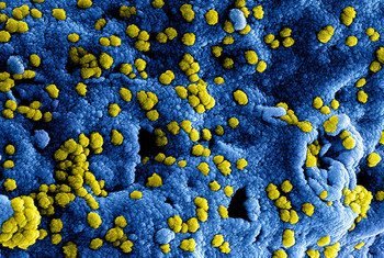 El coronavirus vuelve a la palestra... Francia detecta una nueva variante, ¿está el mundo ante una nueva ola pandémica?