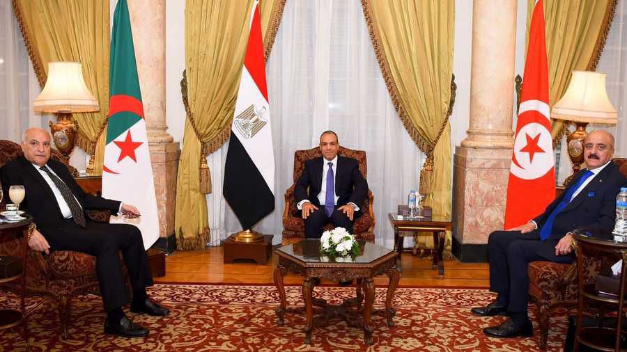 A joint statement by Egypt, Algeria, and Tunisia reaffirms their strong rejection of external interference in Libya.