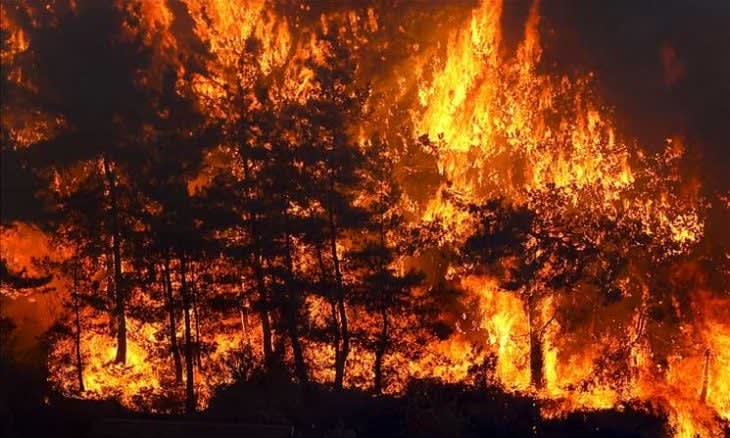 Vier Personen verursachen einen Waldbrand in Izmir... und Dutzende von Flugzeugen beteiligen sich an der Bekämpfung.