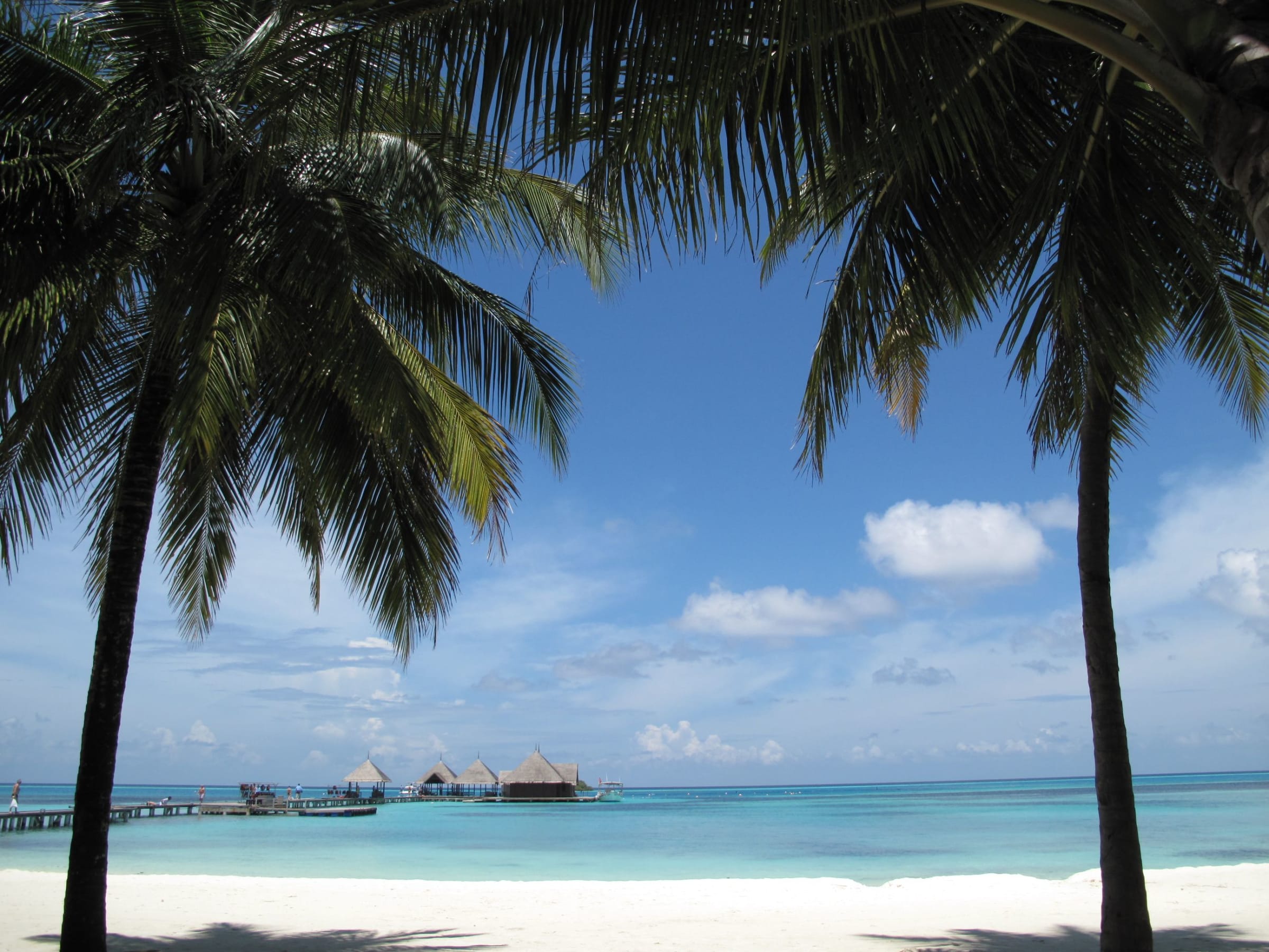 Phu Quoc Honeymoon Escape — photo 4