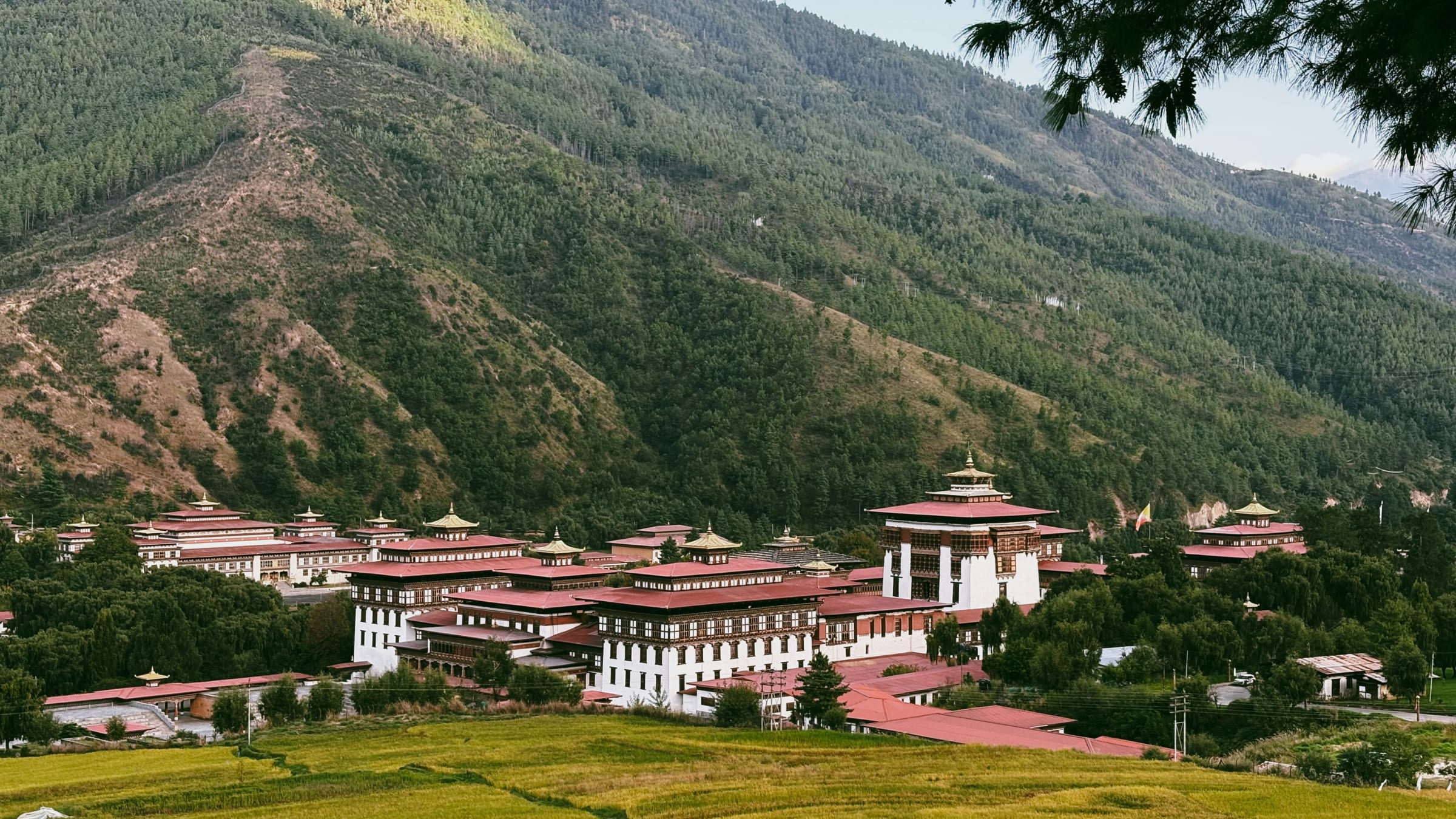 Bhutan Group Trip — photo 1