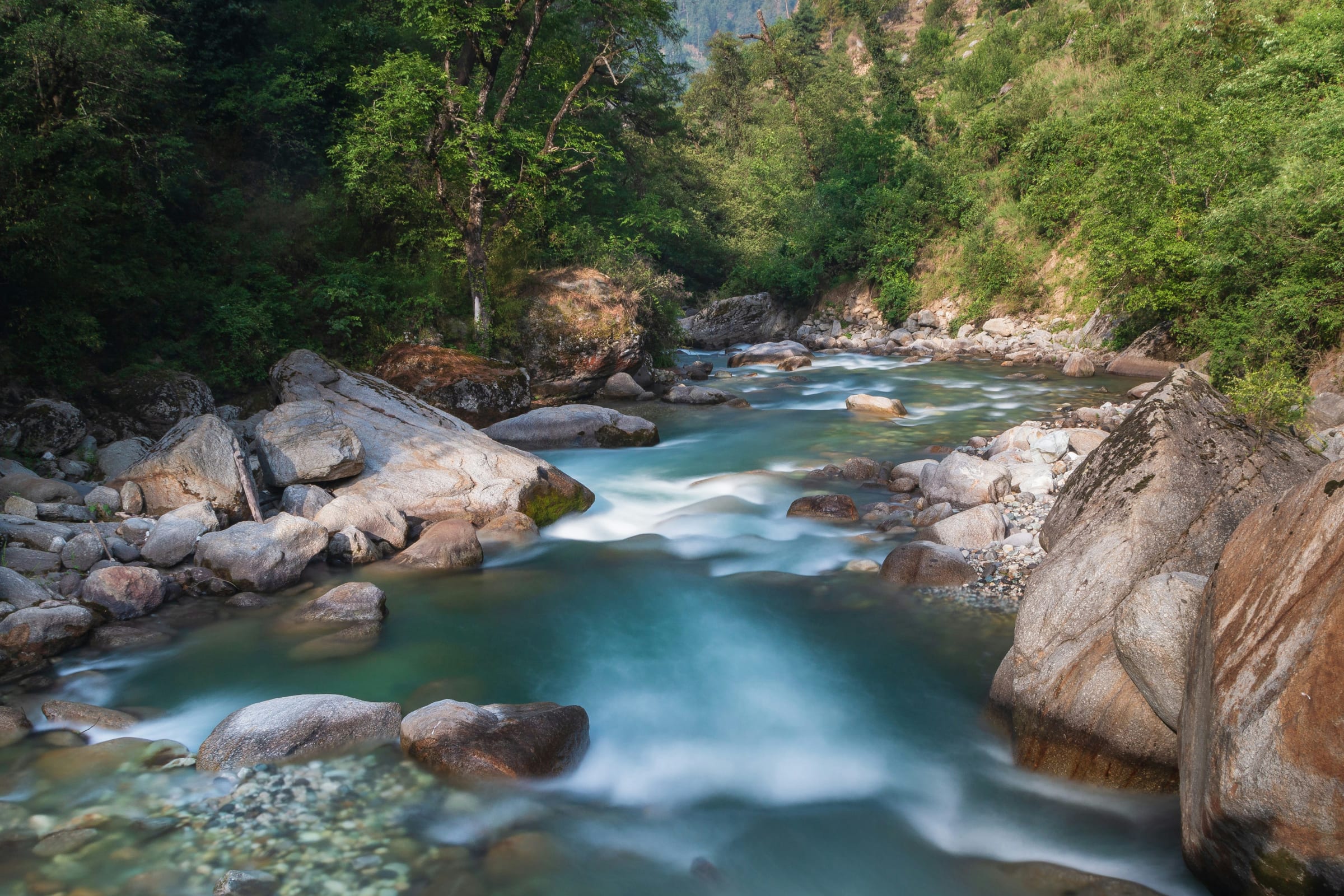 Tirthan Valley & Jibhi Escape — photo 3