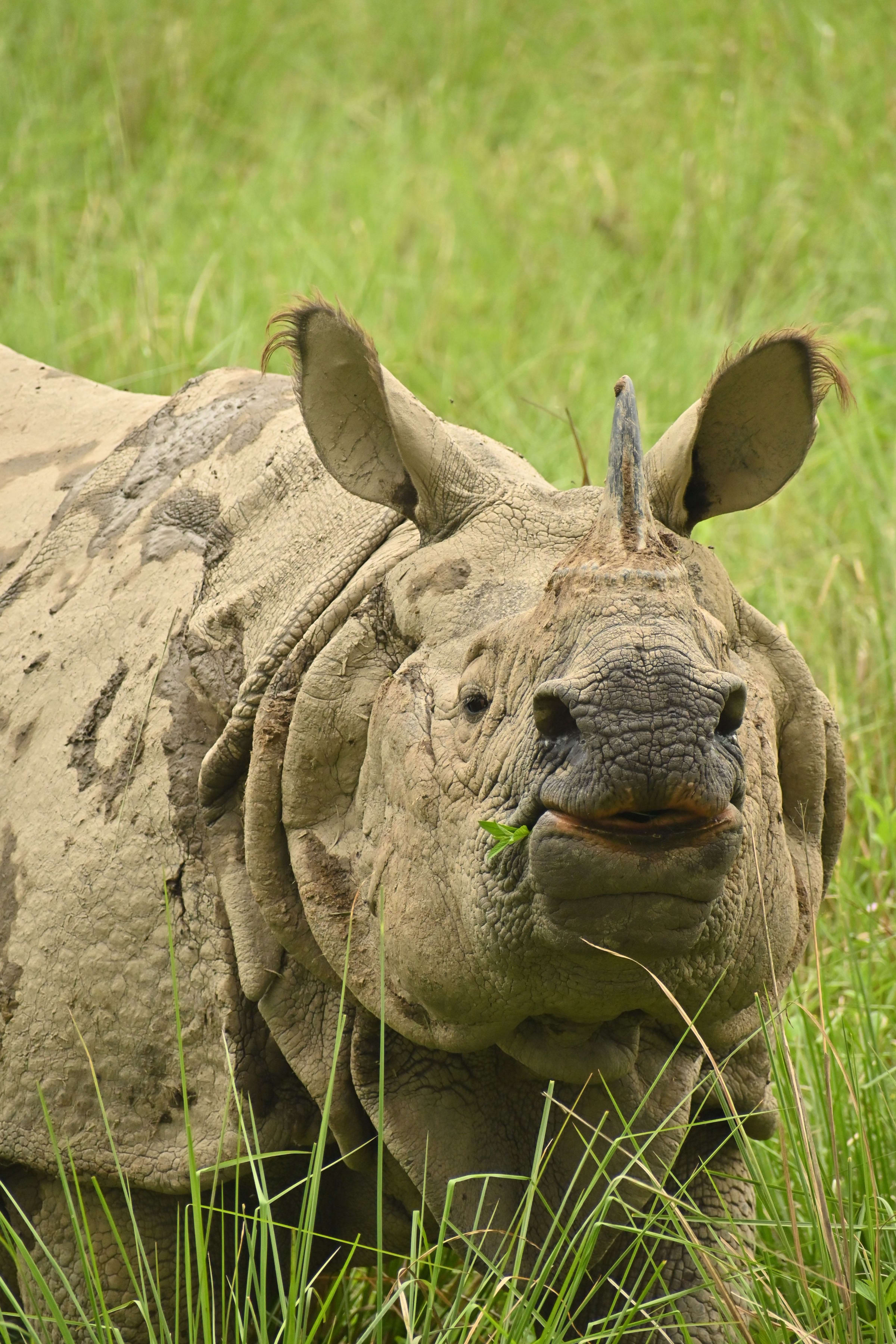 Meghalaya with Kaziranga — photo 3