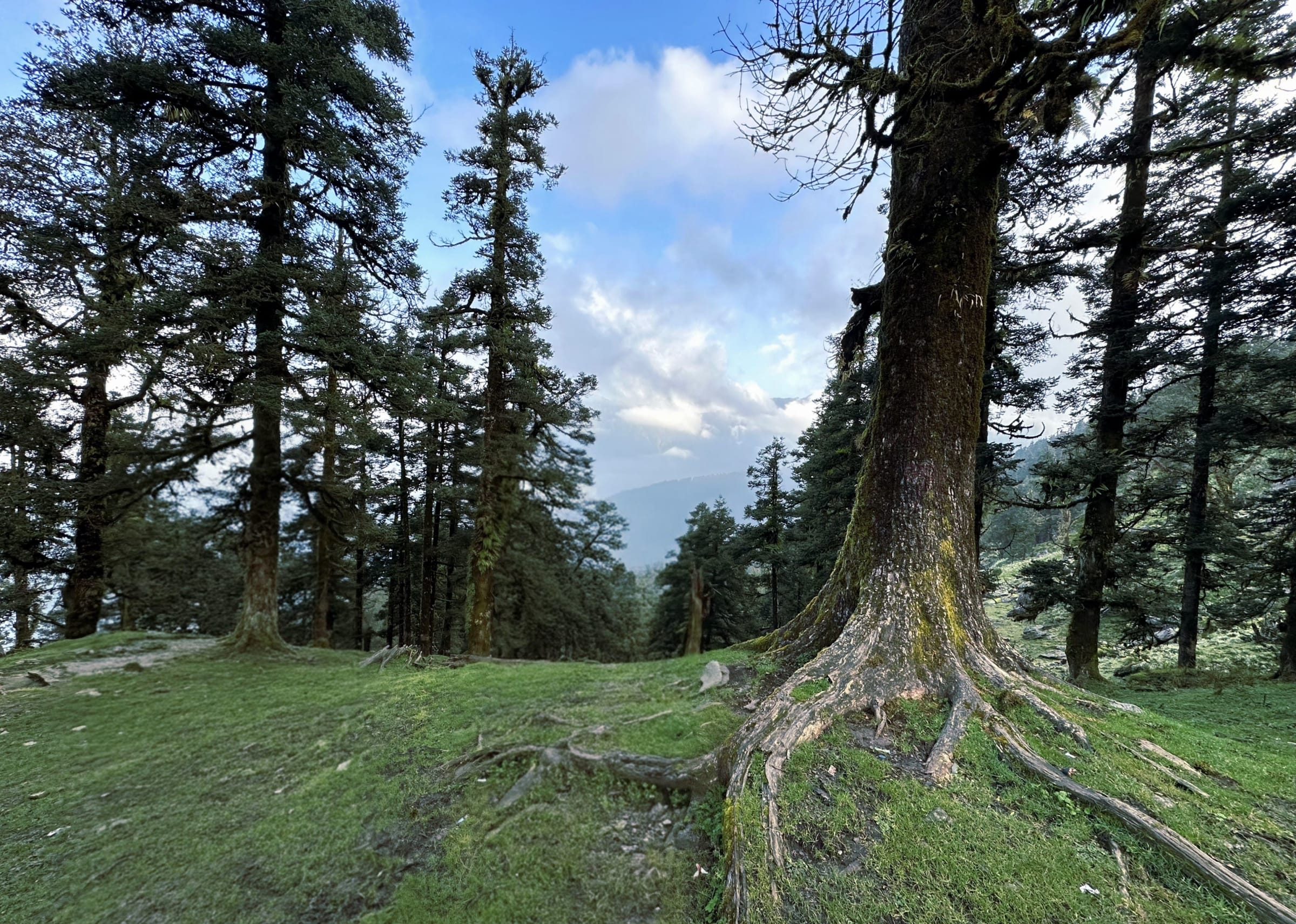 Jibhi & Tirthan Valley Escape with Jalori Pass Camping — photo 2