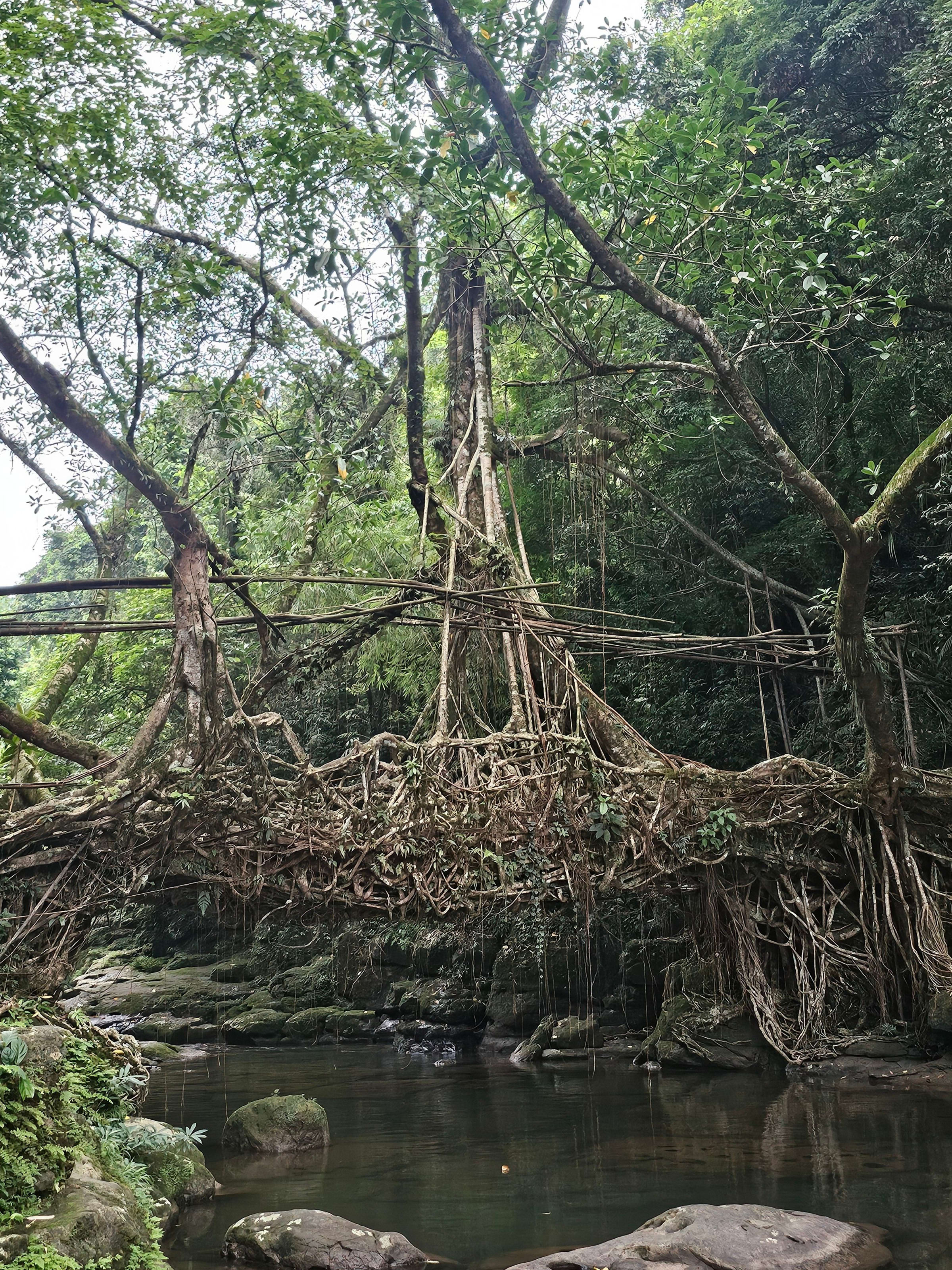Meghalaya with Nongjrong and Krem Chympe — photo 3