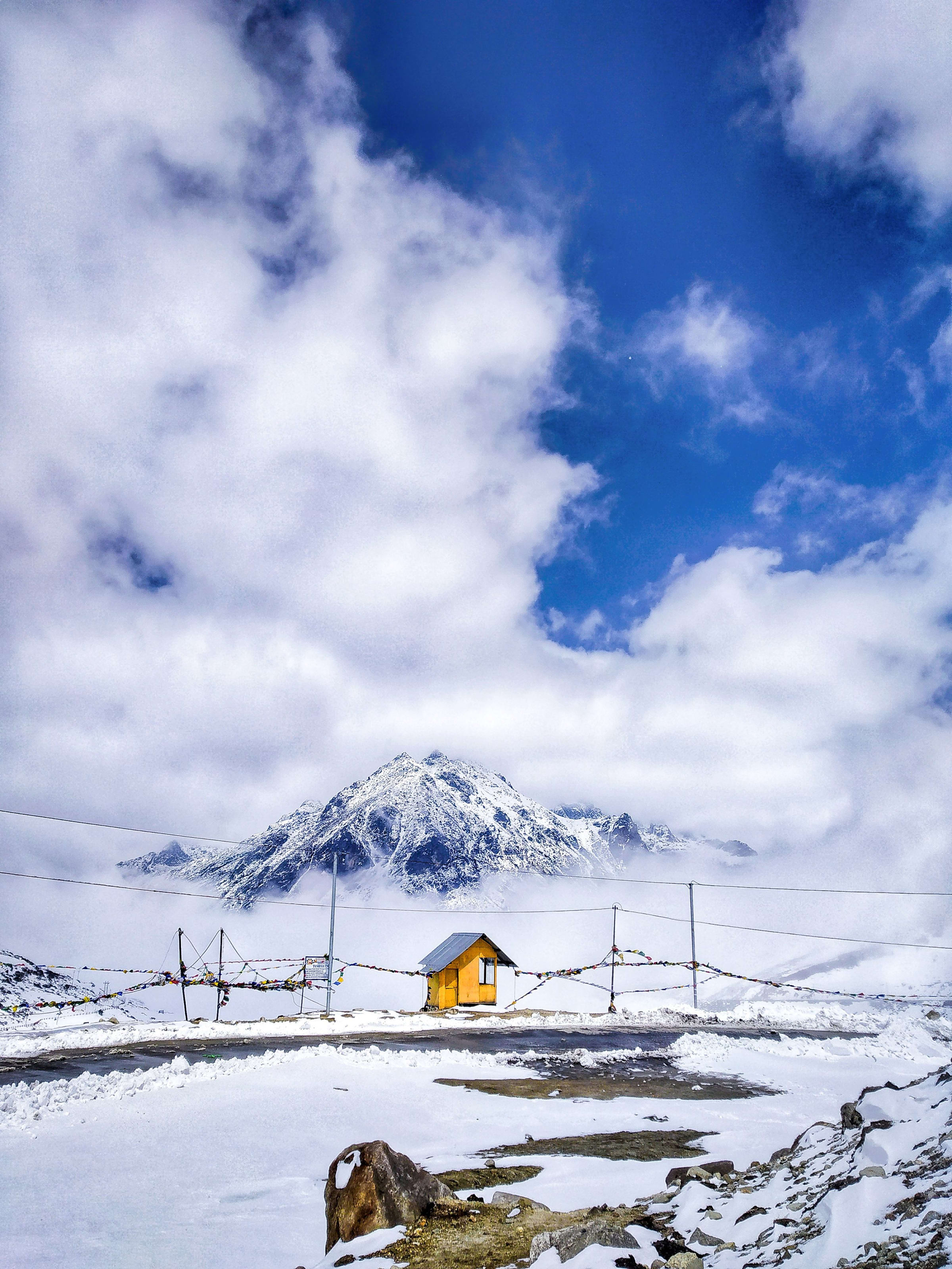 Arunachal Short — photo 2
