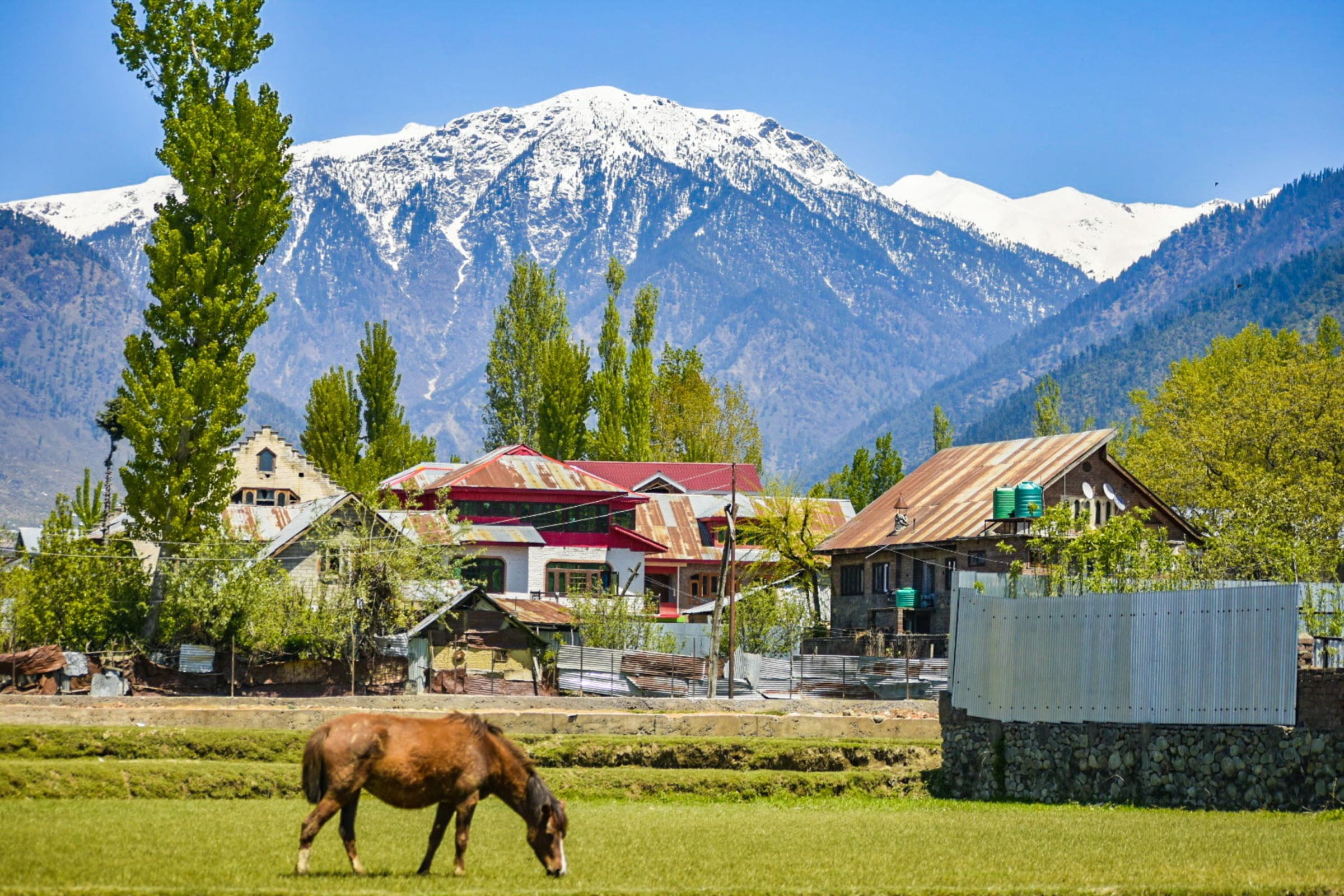 Kashmir Backpacking Trip — photo 3