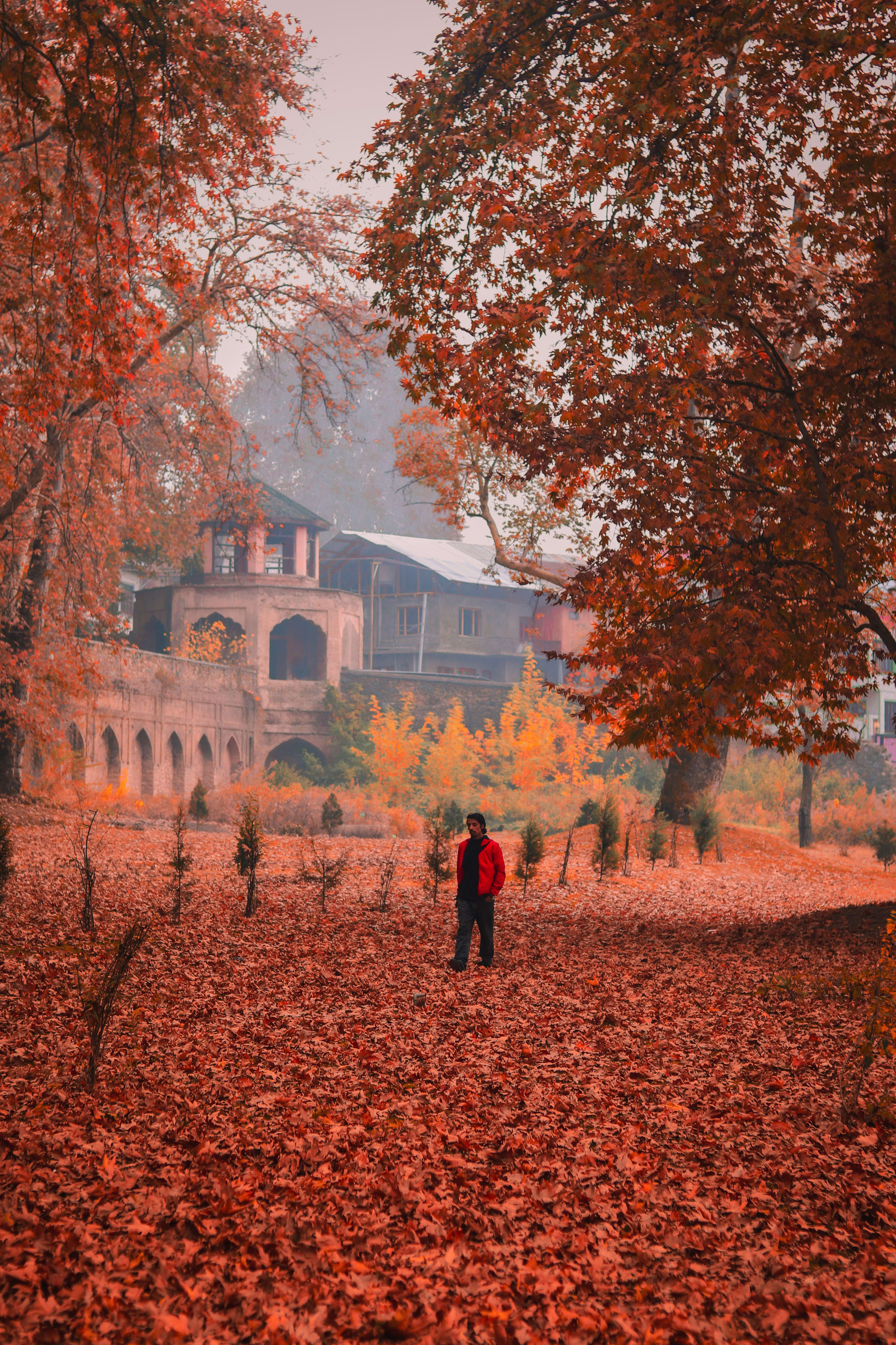 Kashmir Backpacking Trip — photo 4