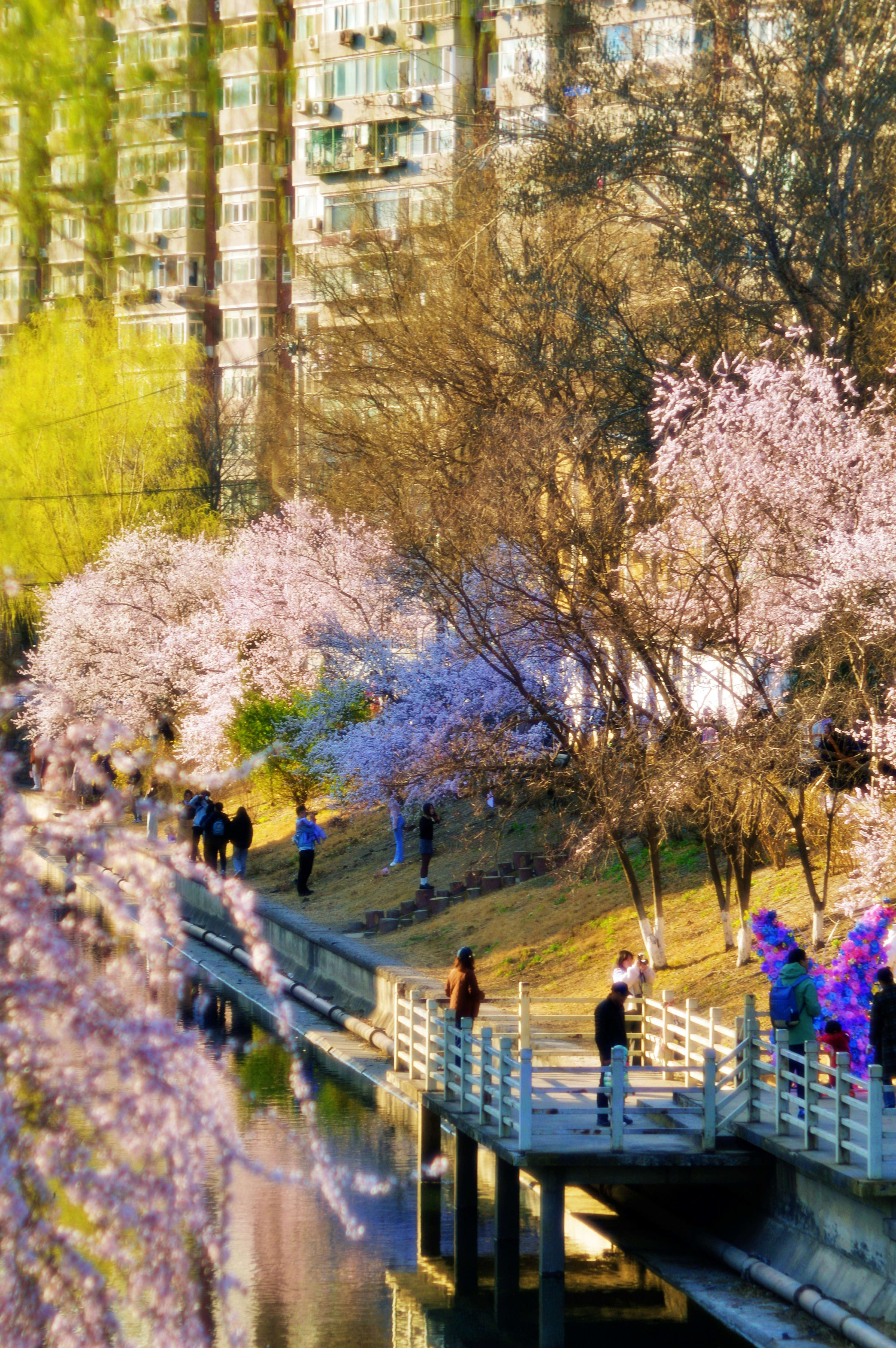 Beijing & Shanghai Discovery Tour — photo 1