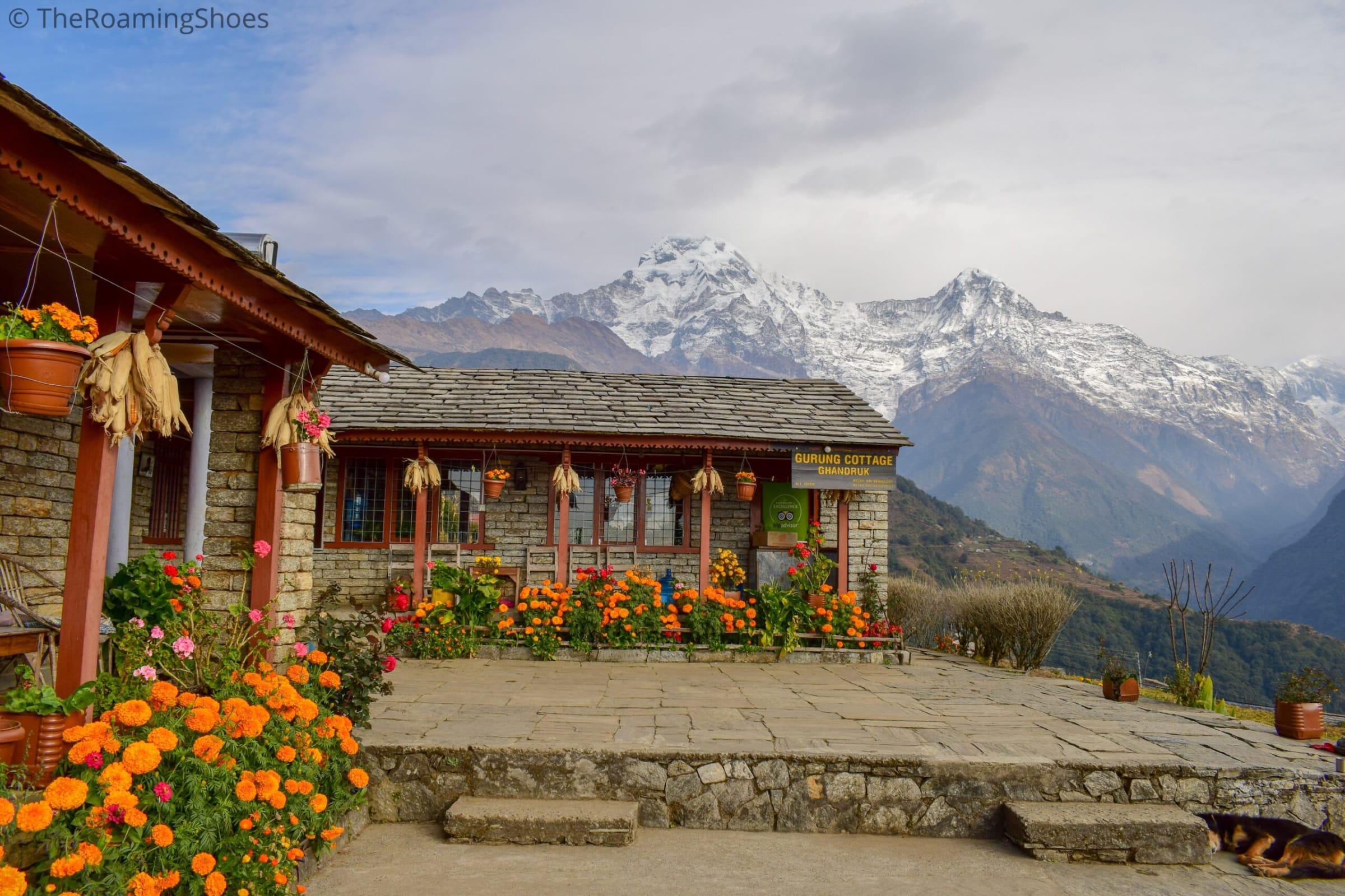 Nepal with Viral Ghandruk Trek — photo 7