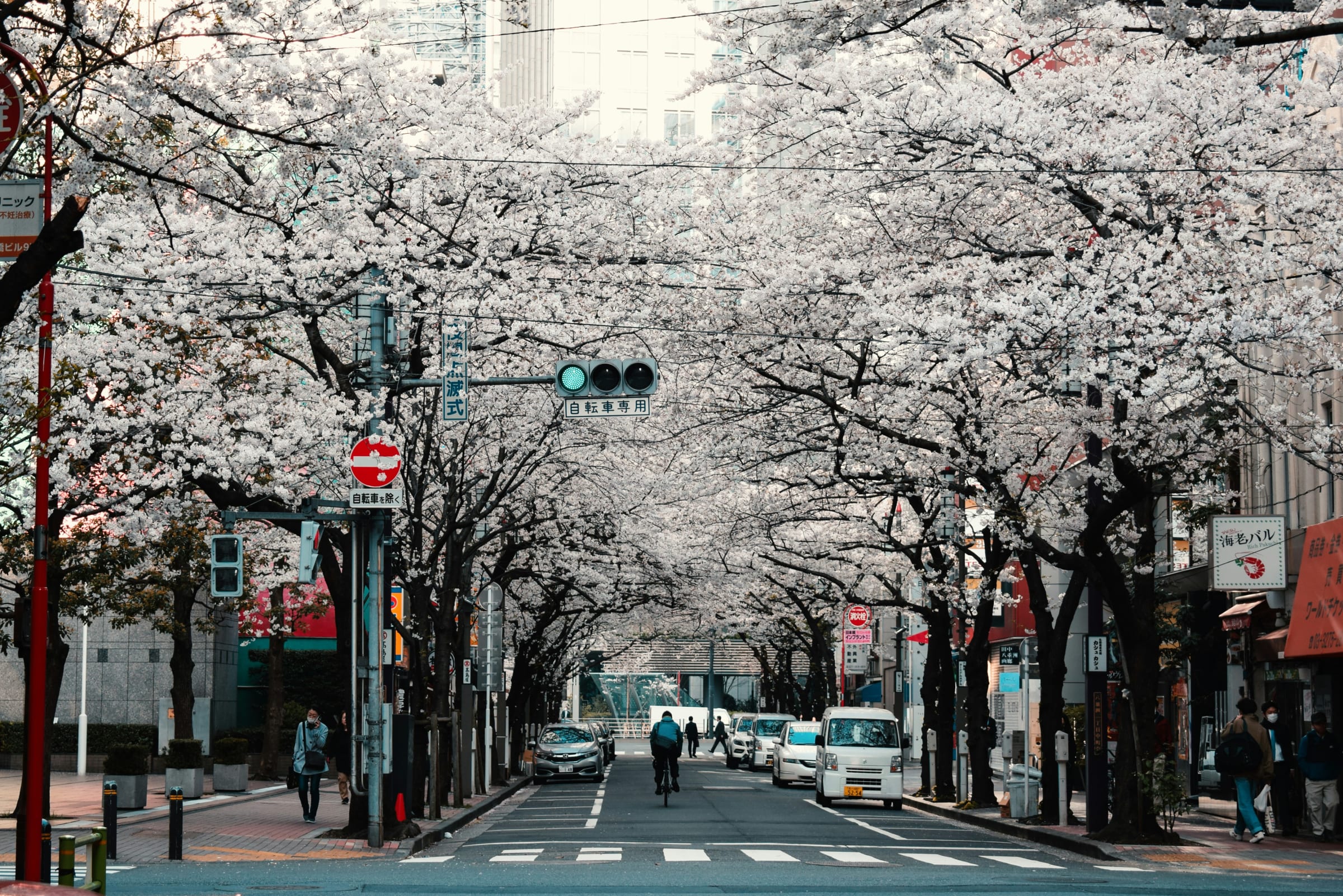 Japan Tour Itinerary 8N — photo 5