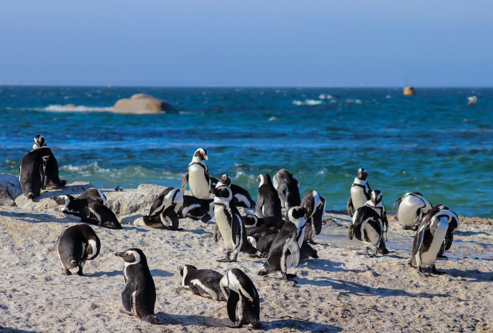 Incredible South Africa — photo 2